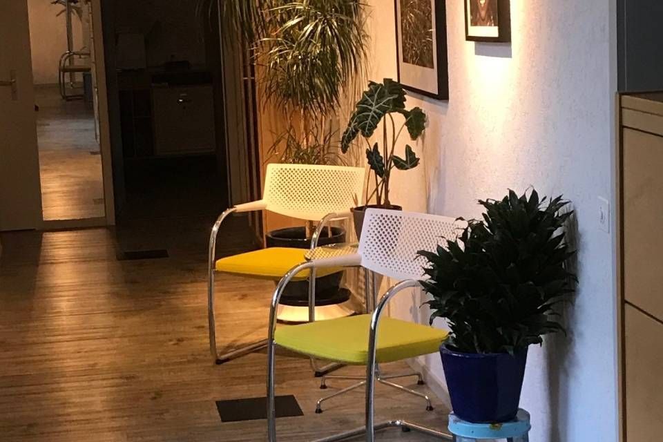 Dr. med. Frey Dieter