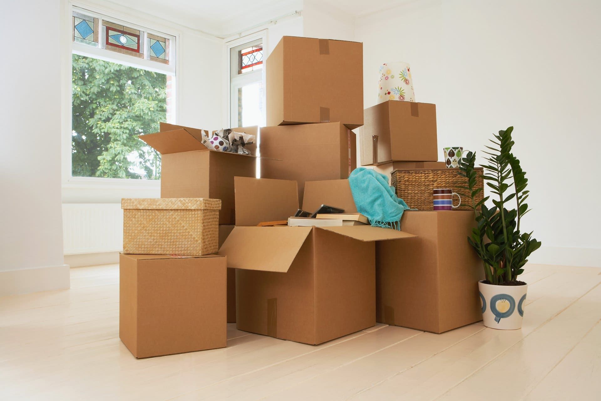 Des piles de cartons de déménagement dans une pièce lumineuse et vide, avec une plante en pot près de la fenêtre