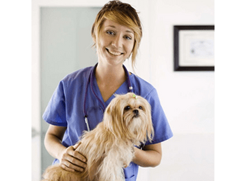 Veterinario con bata azul sosteniendo un pequeño perro de color canela y blanco; sonriendo en un consultorio.