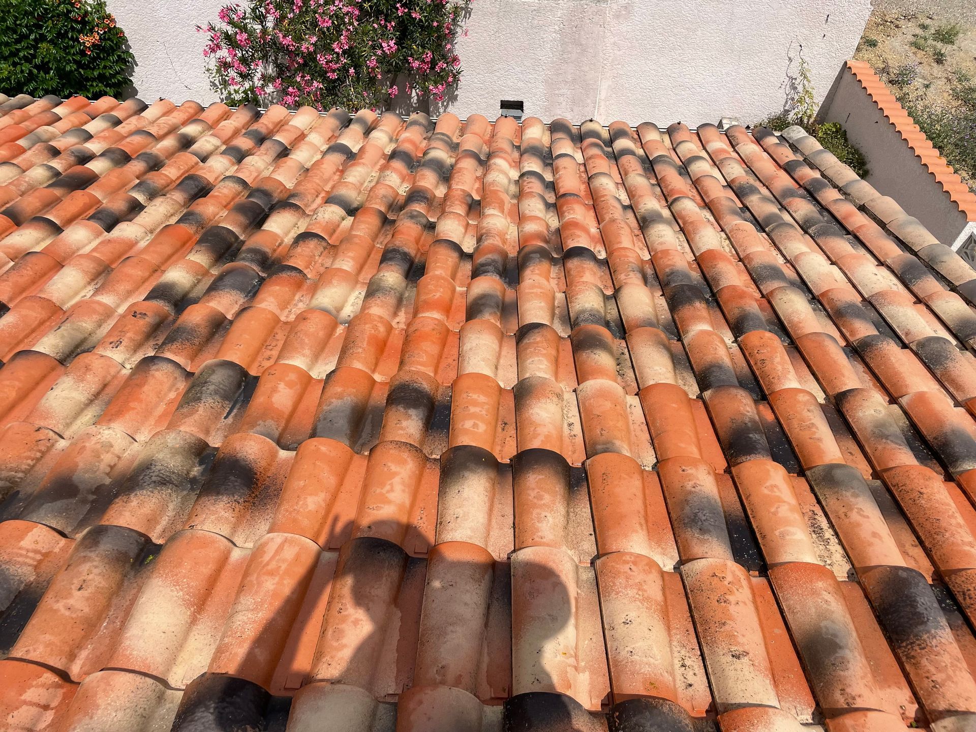Pan de toiture en tuiles démoussées et nettoyées par notre couvreur