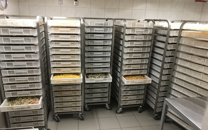 Seisler Pasta
