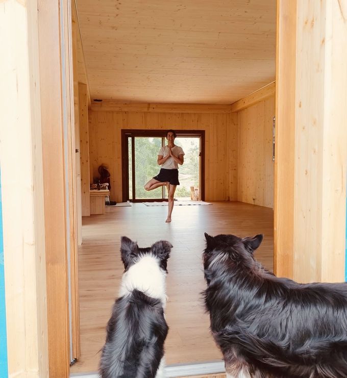 Mujer en pose de yoga, dos perros observan desde la puerta de una habitación de madera clara.