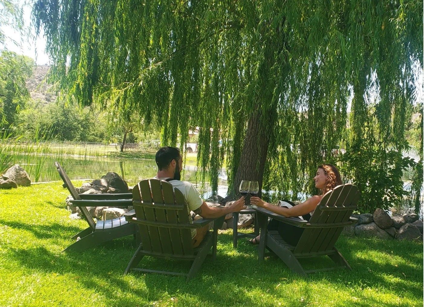 Scenic Vineyards and Outdoor Lounge