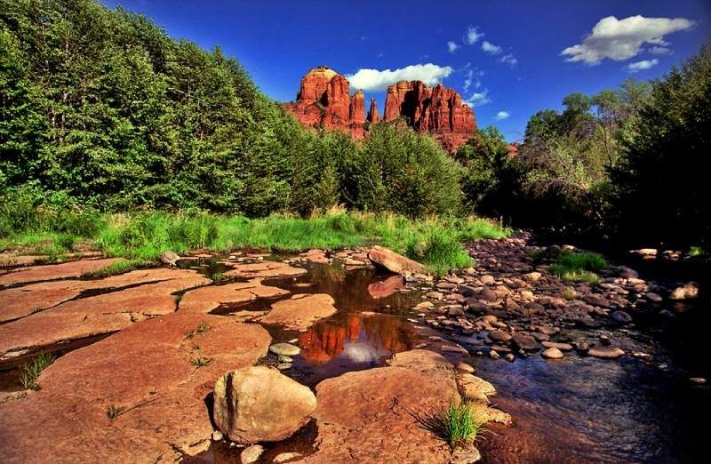 Red rock formations reflected in a shallow stream with trees and a blue sky.