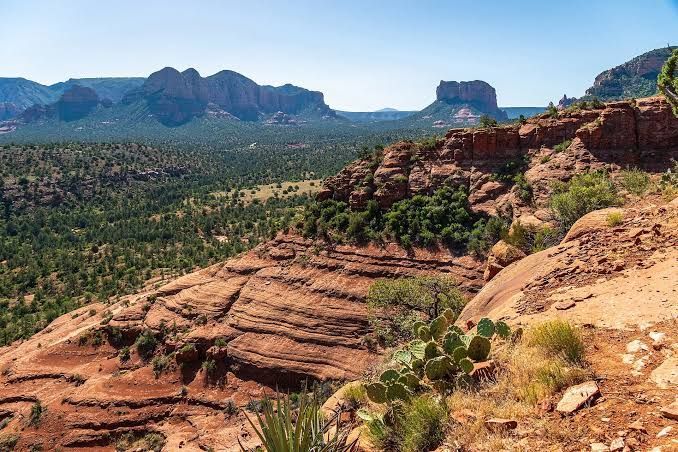 Munds Wagon Trail