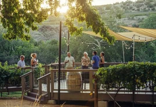 Vineyard photo