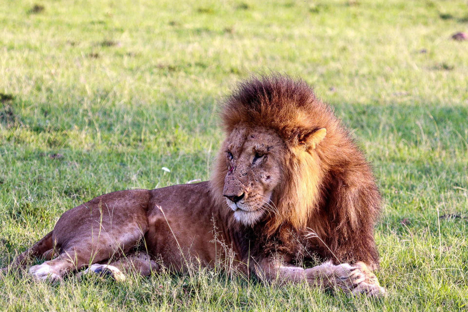 Out of Africa Wildlife Zoo