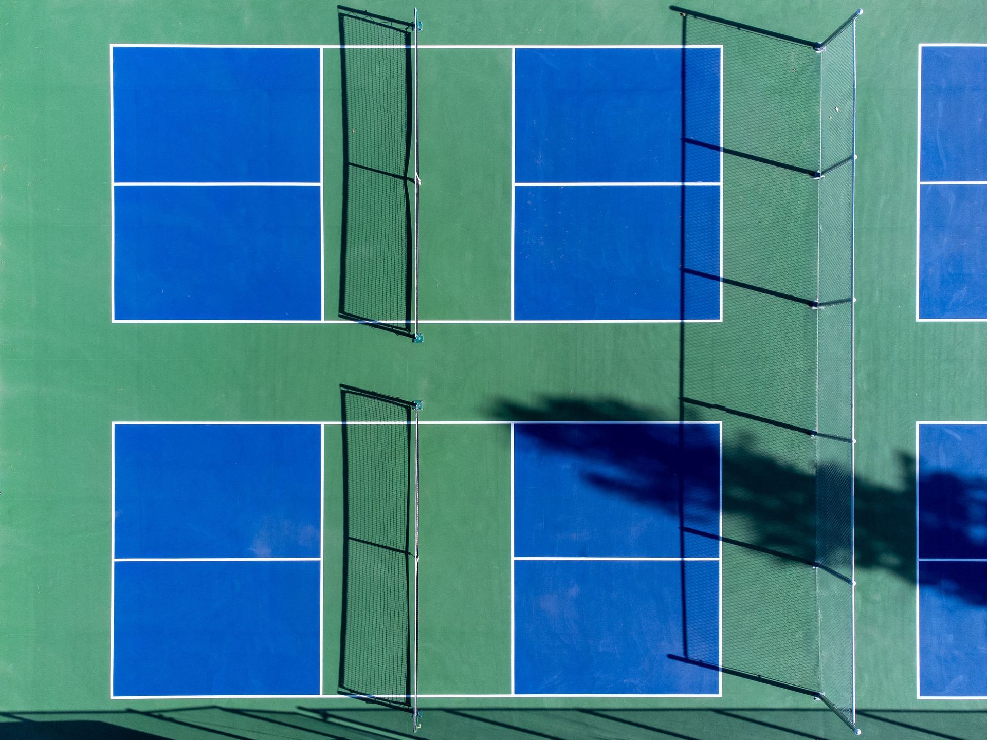 Pickleball Paddle and Ball