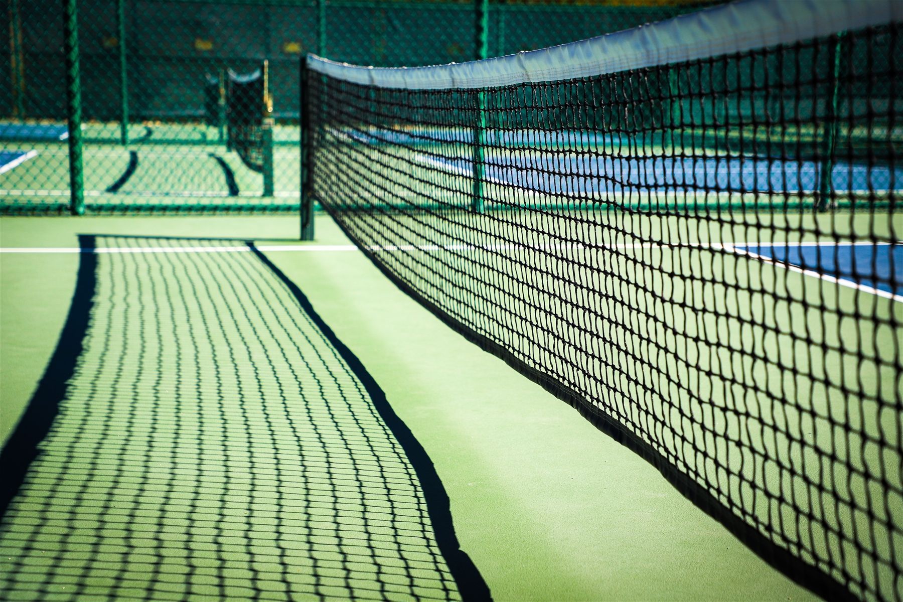 Pickleball Court Layout