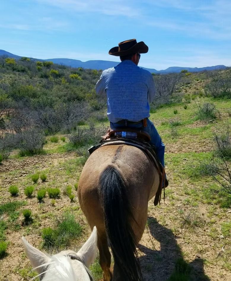 Wild Western Horseback Adventures