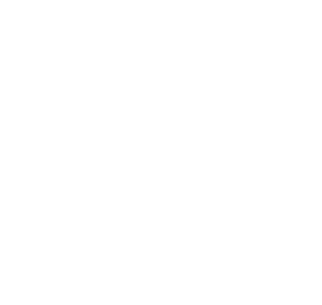 Logo NF