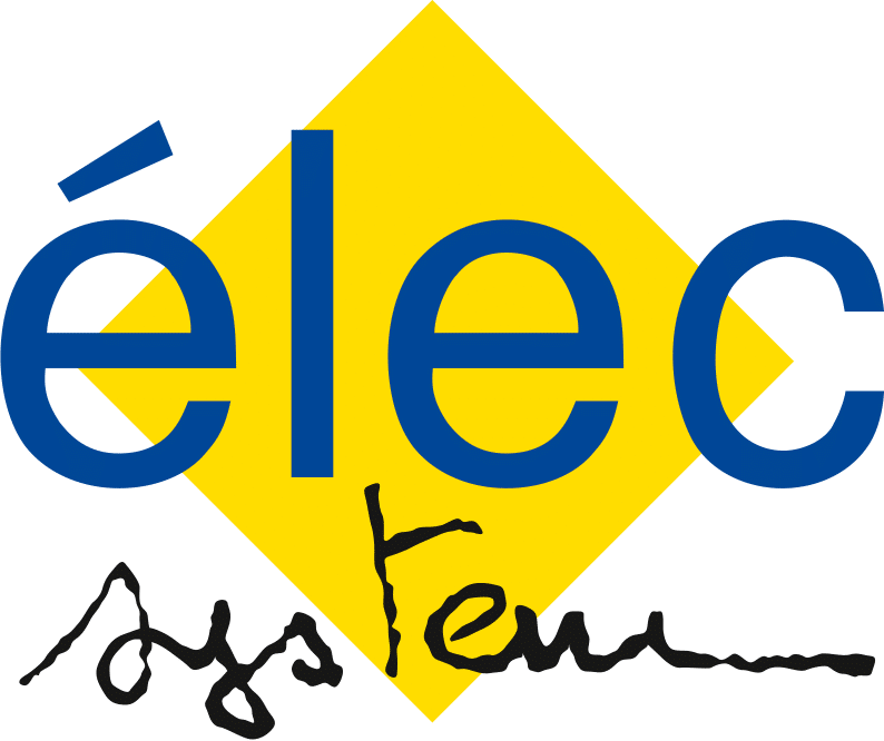 Logo Elec System
