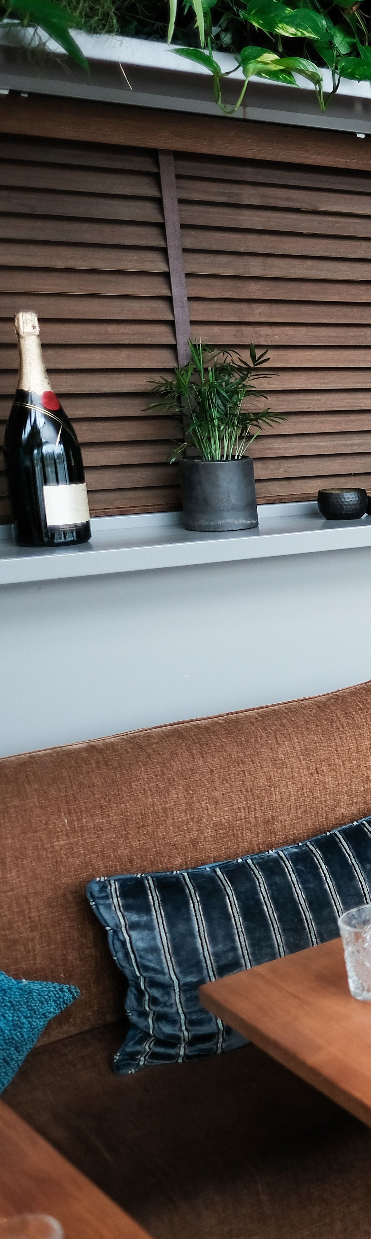 Une bouteille de champagne, des plantes et des coussins sur un canapé marron.