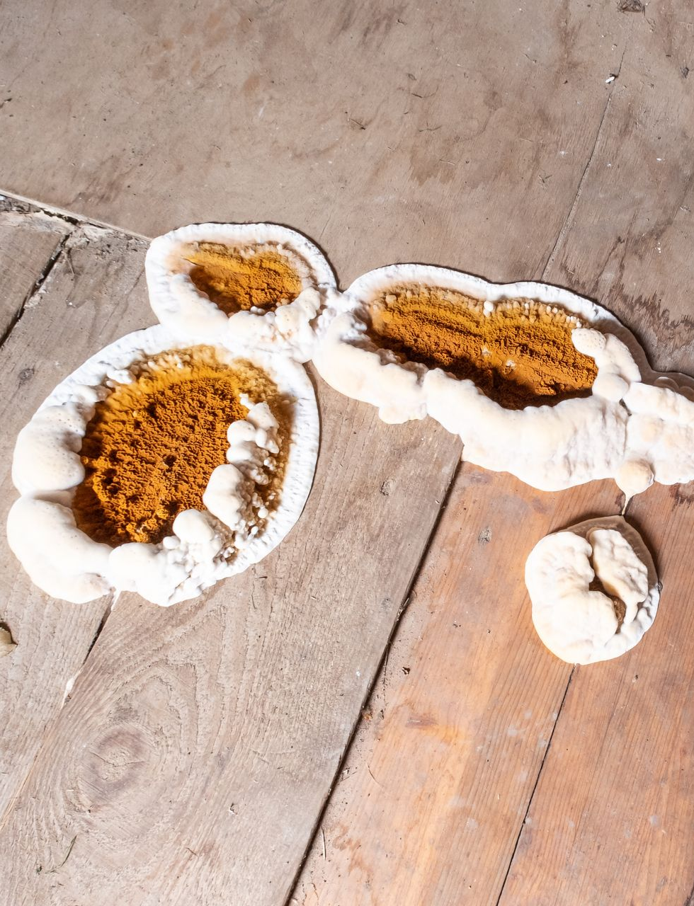 Moisissure blanche, orange et brune due à des champignons sur une surface en bois.