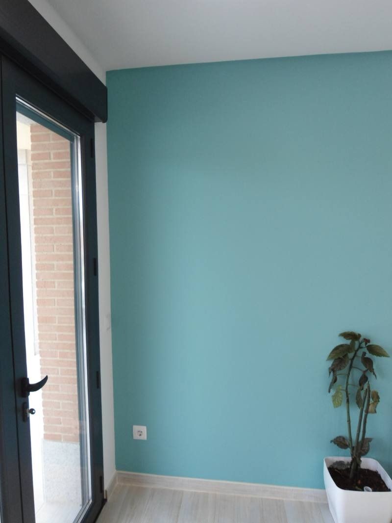 Una habitación con paredes azules y una planta en maceta.