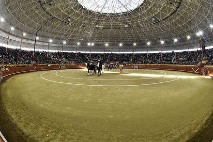 Se está celebrando una corrida de toros en un gran estadio.