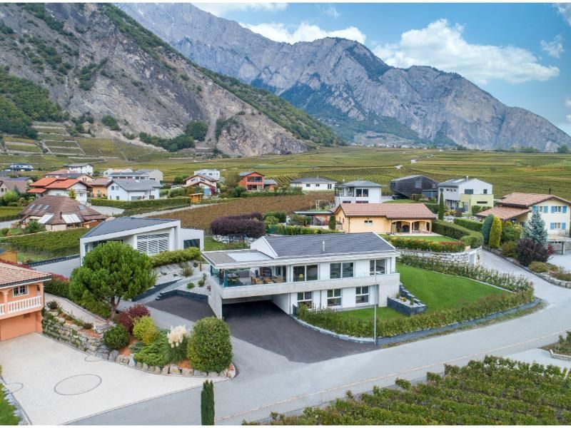 Maisons modernes et vignobles sur fond de montagnes.