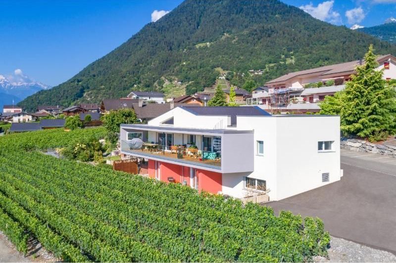 Une vue aérienne d'une maison au milieu d'un vignoble avec une montagne en arrière-plan.