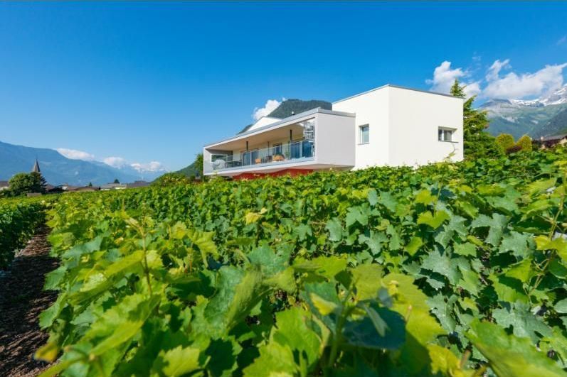 Une maison blanche est assise au milieu d'un vignoble.