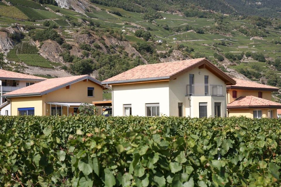Une maison est entourée d'un vignoble avec des montagnes en arrière-plan
