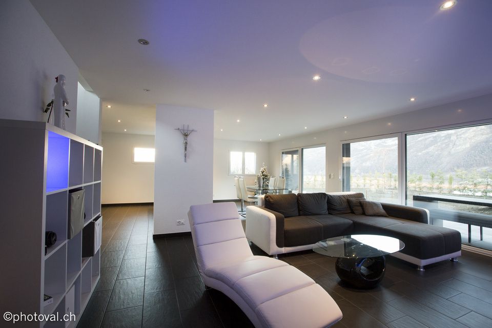 Un salon avec un canapé et une chaise longue