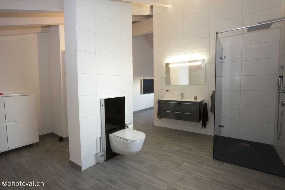 Une salle de bain avec WC, lavabo, miroir et douche à l'italienne.