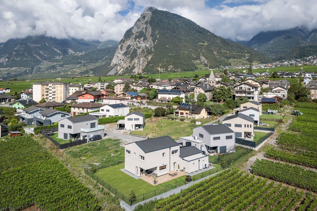 Maisons modernes dans une vallée, près d'une montagne. Vignobles au premier plan, village et montagnes à l'arrière-plan.