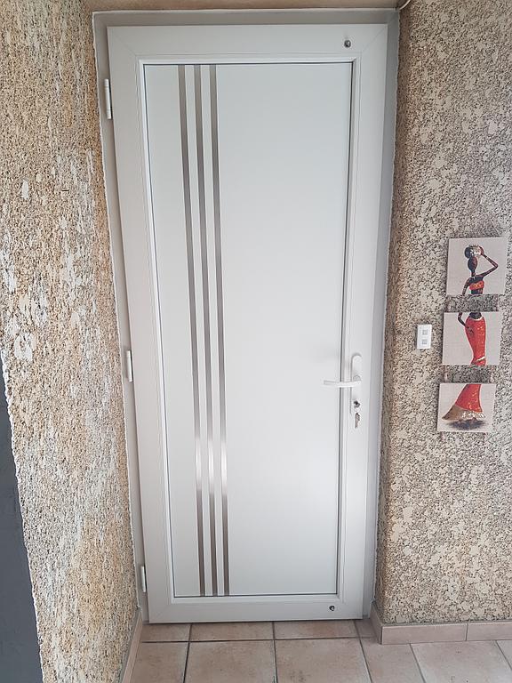 porte d'entrée métal design