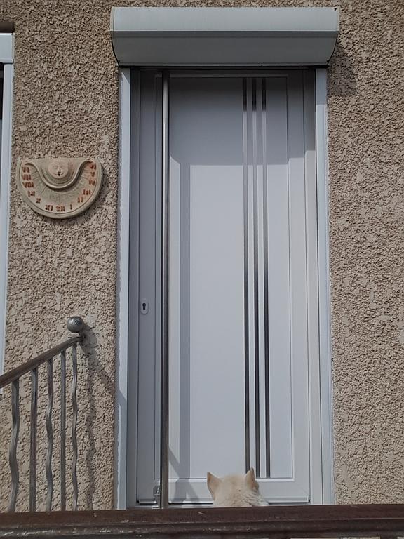 porte d'entrée métal