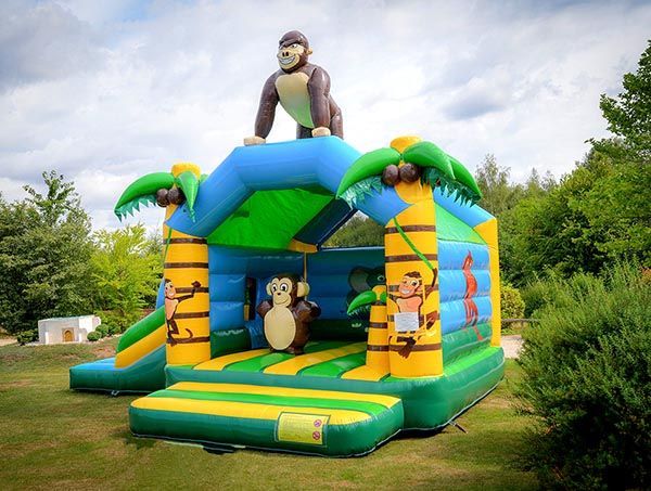 Kinder spielen auf einer Party im Freien mit einer aufblasbaren Rutsche, Vier gewinnt und einem mechanischen Bullen.