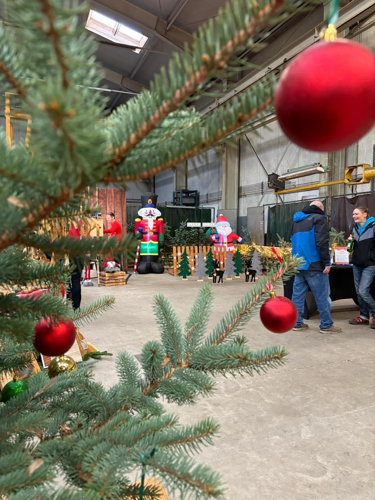 Laser Biathlon Weihnachtsdeko