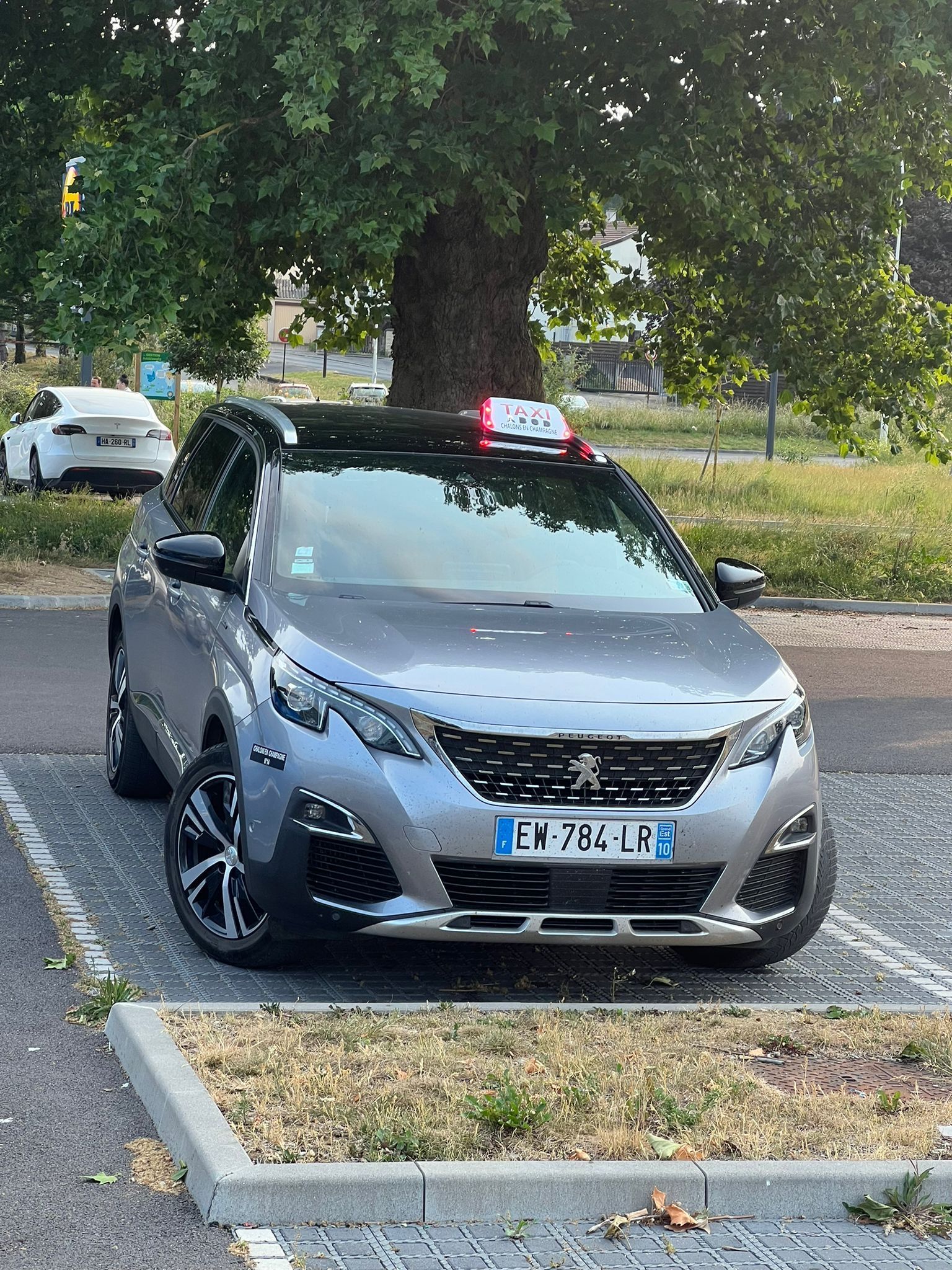 Un taxi stationné sous un arbre.