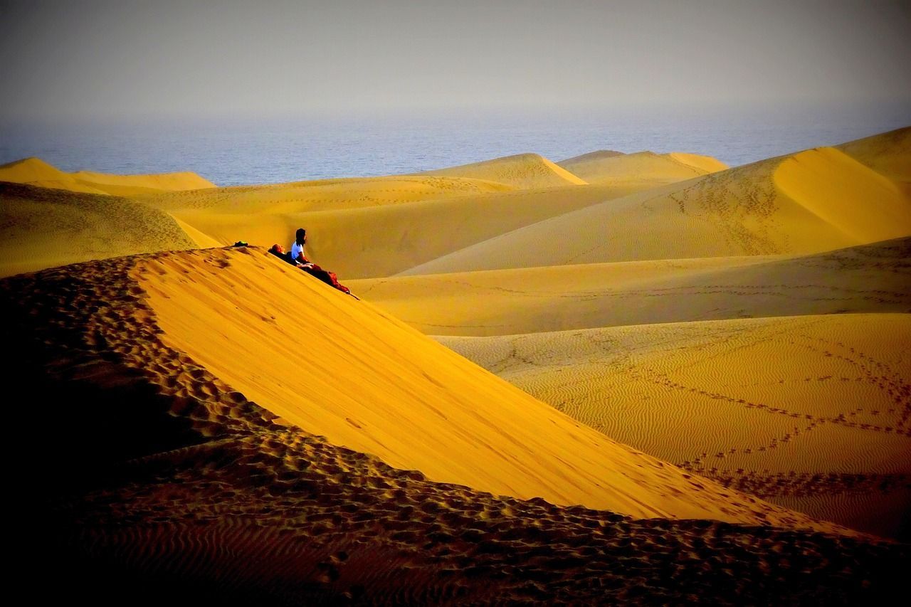 Una persona solitaria se sienta en la cima de una empinada duna de arena dorada, contemplando un vasto paisaje desértico bajo un cielo suave y brumoso.