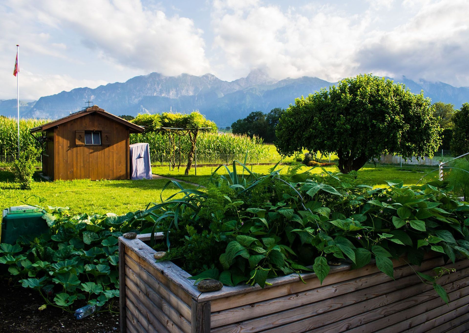 Gartenpflege | Hänni Gartenbau AG | Forst