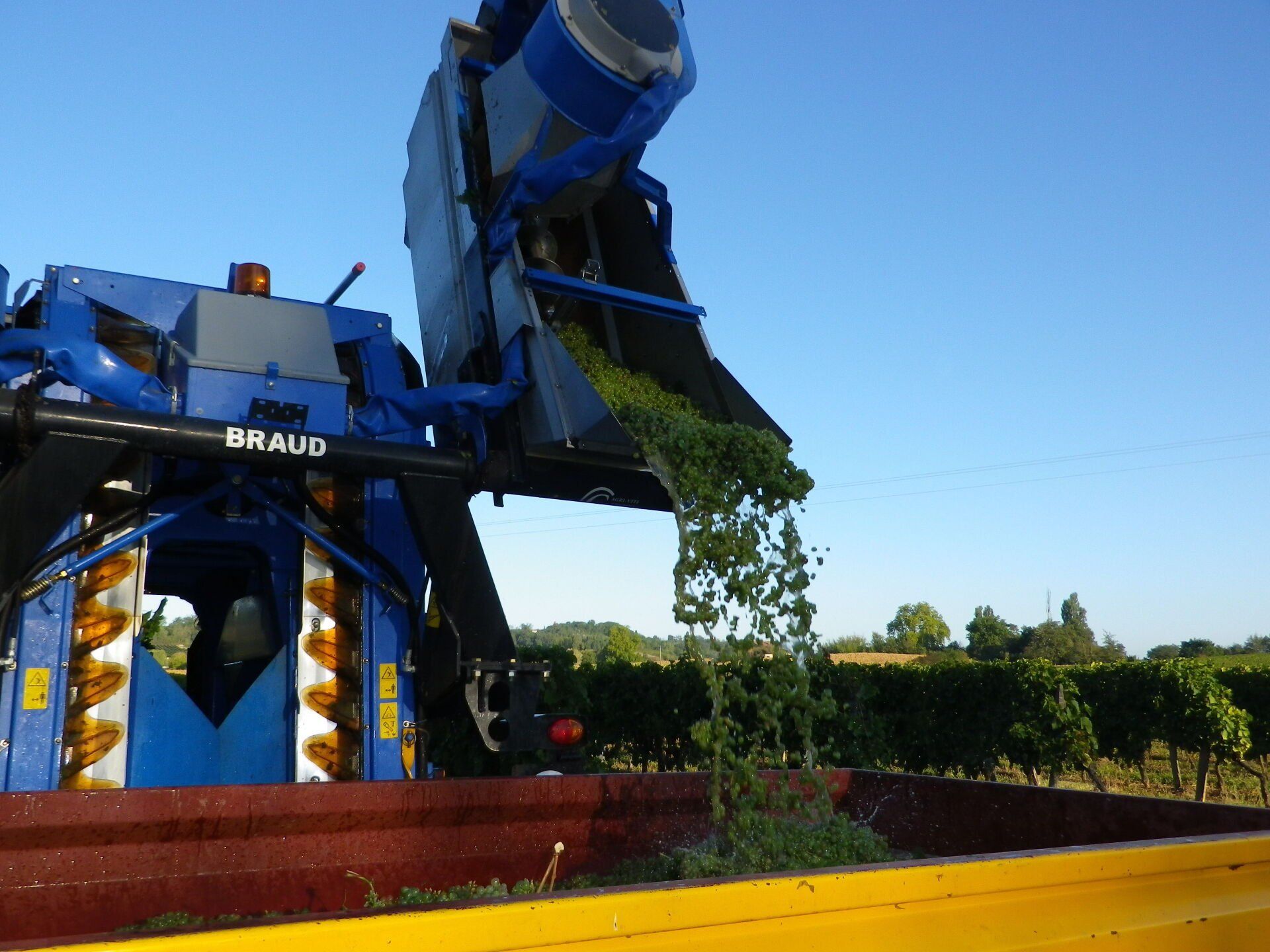 Viticulture raisonnée à Bossugan