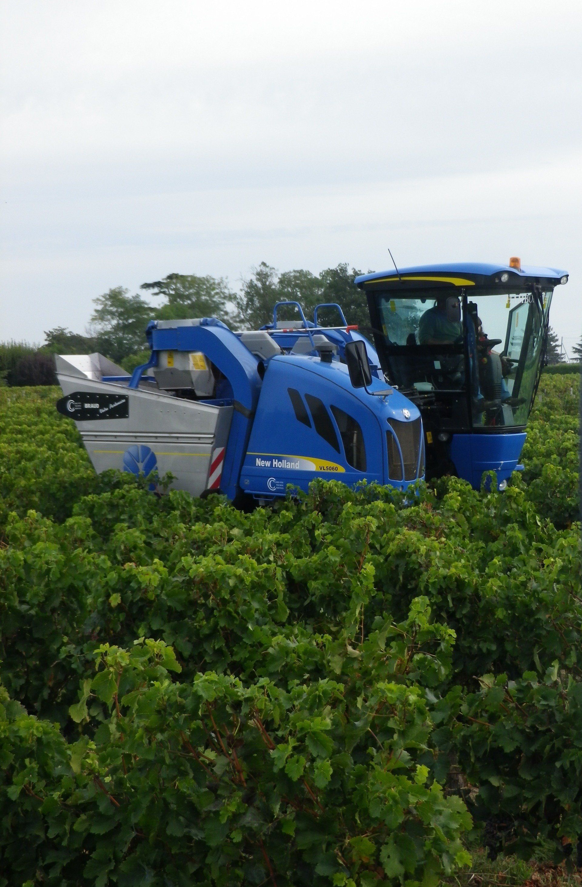 Viticulture raisonnée