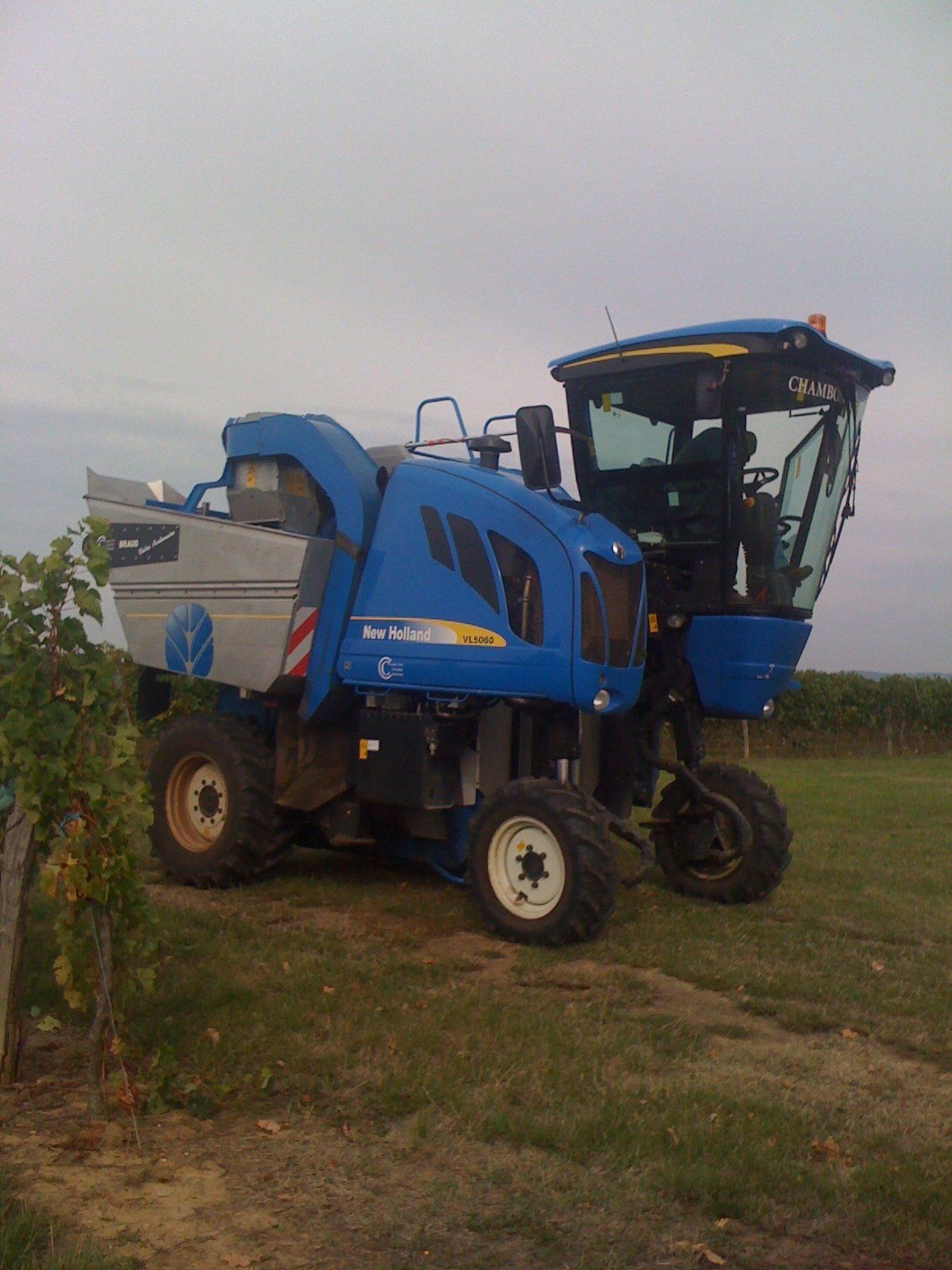 Vigneron près de Bordeaux