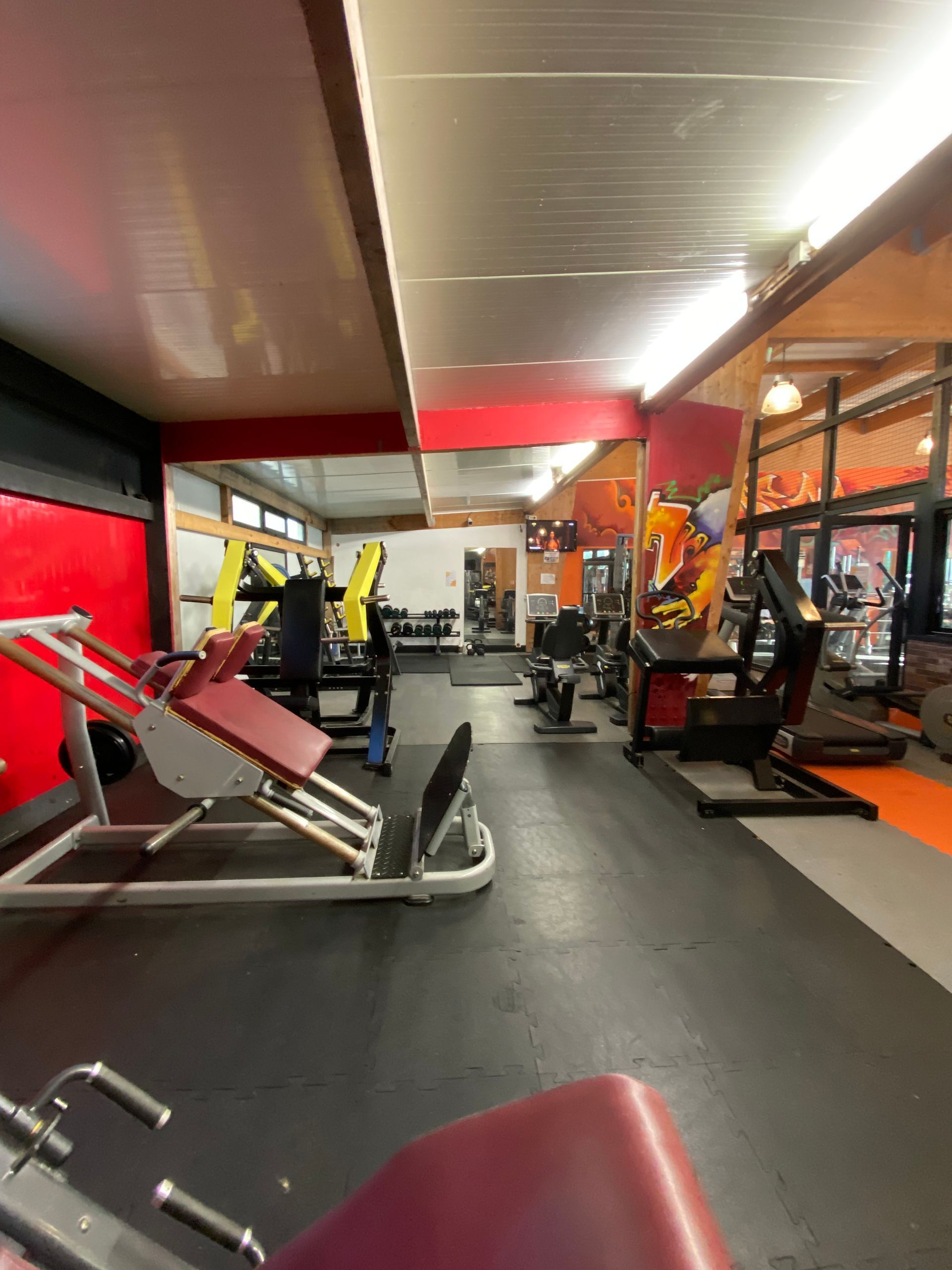 Diverses machines pour travailler sa musculation