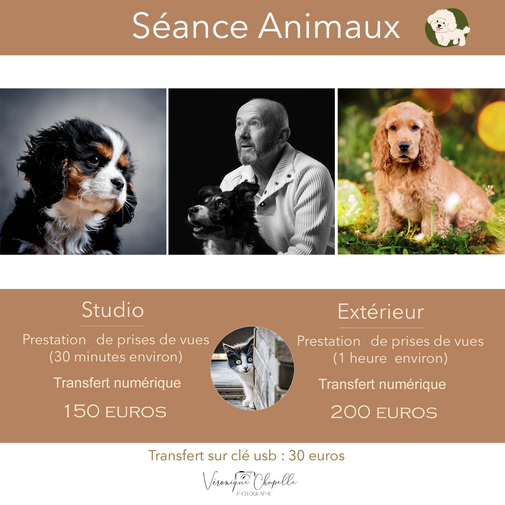 Tarifs séance avec animaux