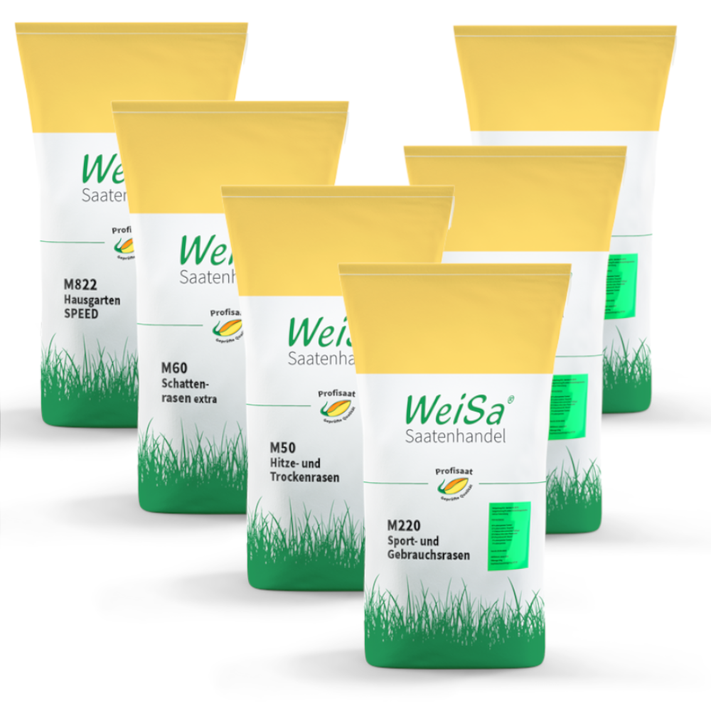 Sechs gelbe und grüne Samentütchen vom Weisa Saatenhandel.