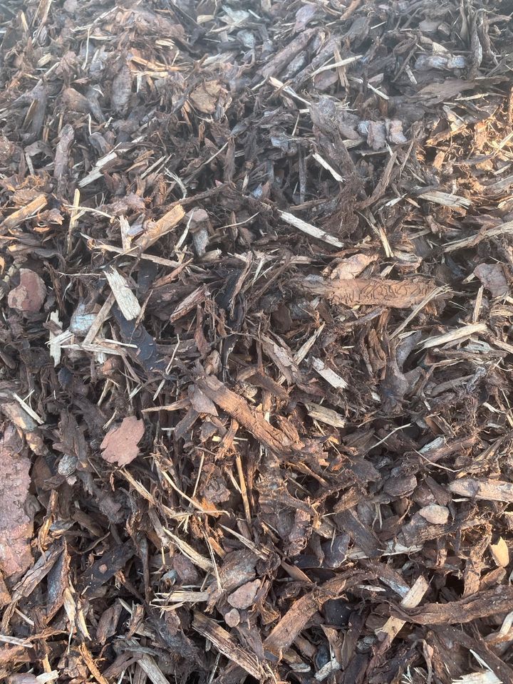 Brauner Mulch aus Rinde und Holzspänen bedeckt den Boden.