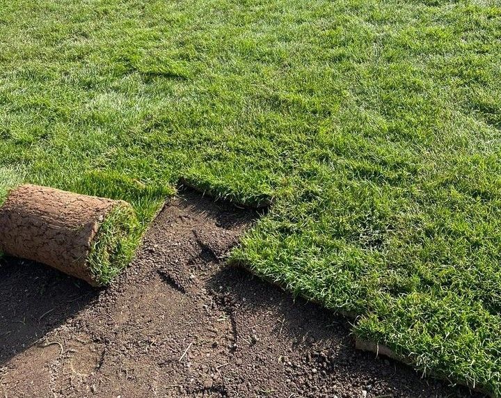 Eine Rasenrolle wird auf braunem Boden ausgelegt, grünes Gras ist sichtbar.