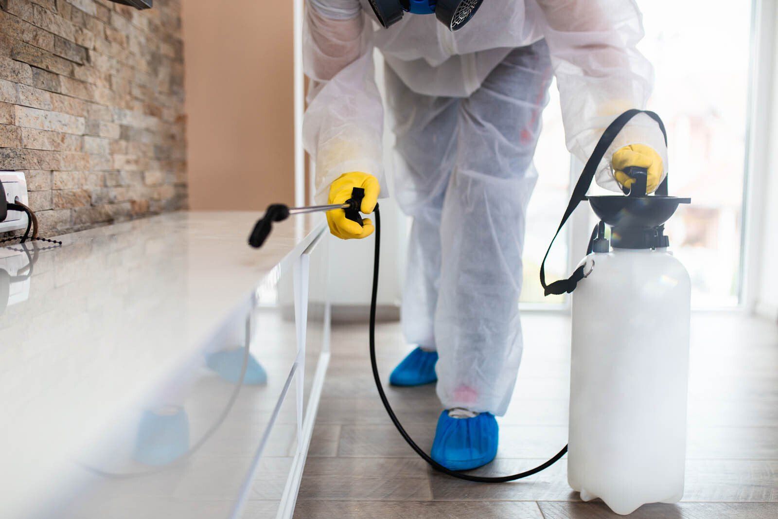 Spécialiste pulvérisant les surfaces de la maison avec un traitement antinuisible