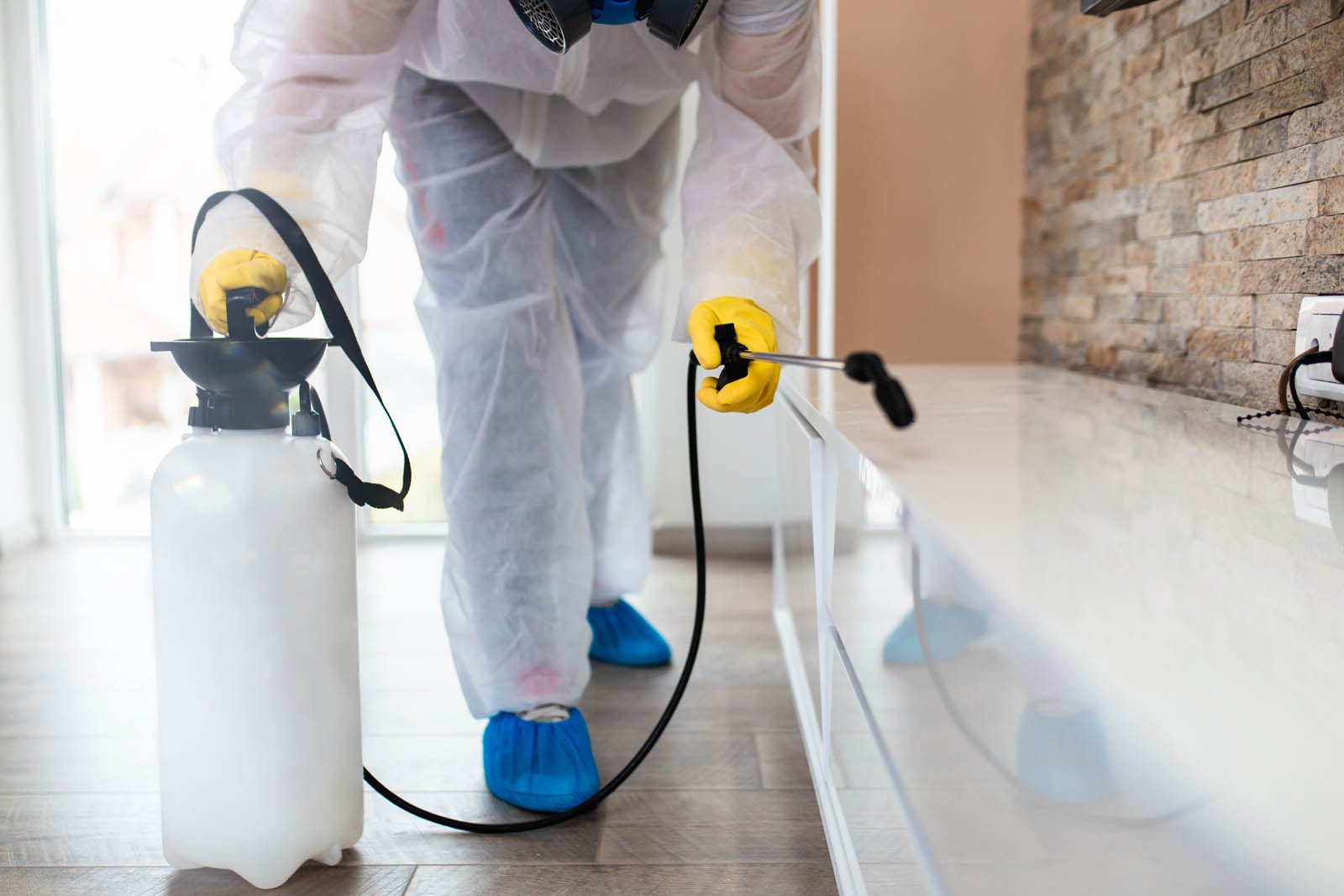 Spécialiste pulvérisant un traitement antinuisible sur les surfaces de la maison