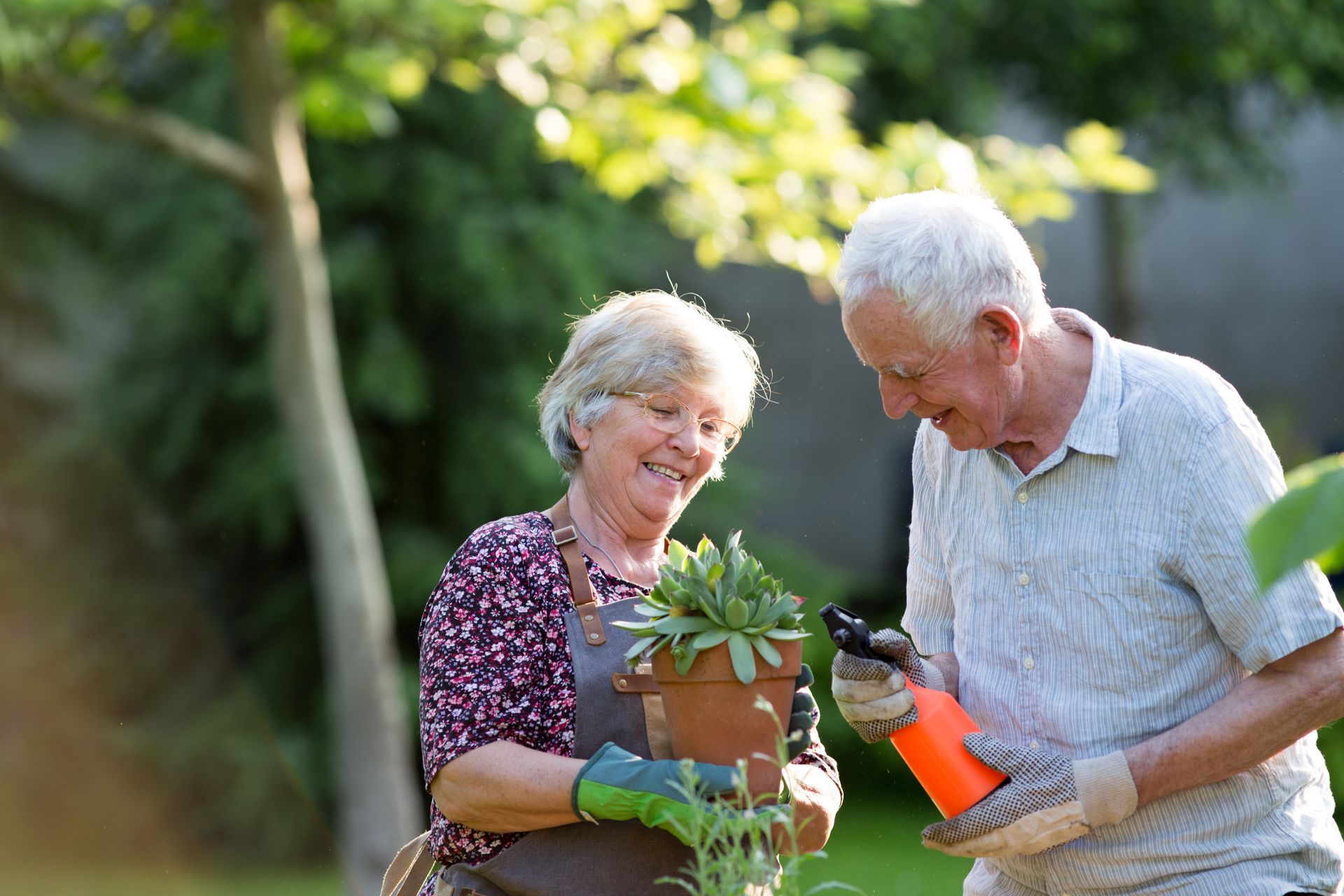 Personnes âgées faisant du jardinage