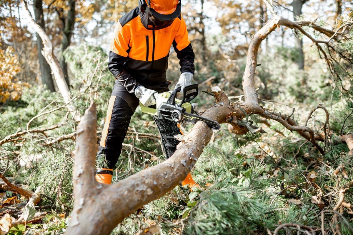 Persona con equipo de seguridad naranja y negro que utiliza una motosierra para cortar la rama de un árbol caído en una zona boscosa.