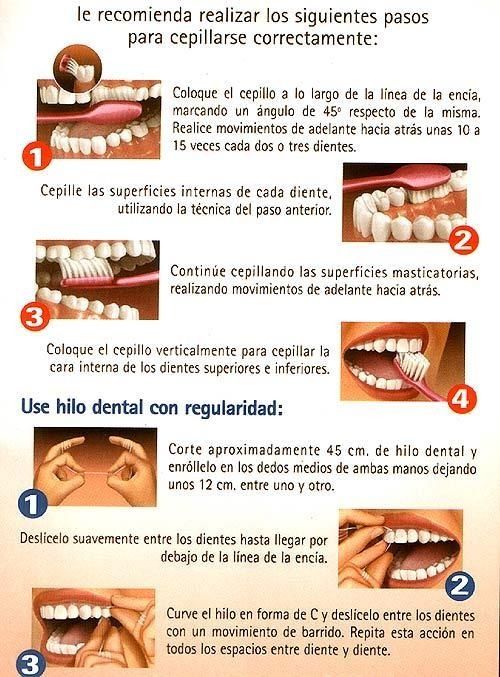 Un cartel que muestra cómo cepillarse los dientes en español.
