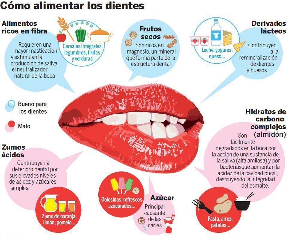 Un cartel que muestra cómo alimentar los dientes en español.