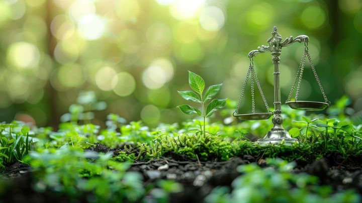 Balance de la justice au milieu de la nature
