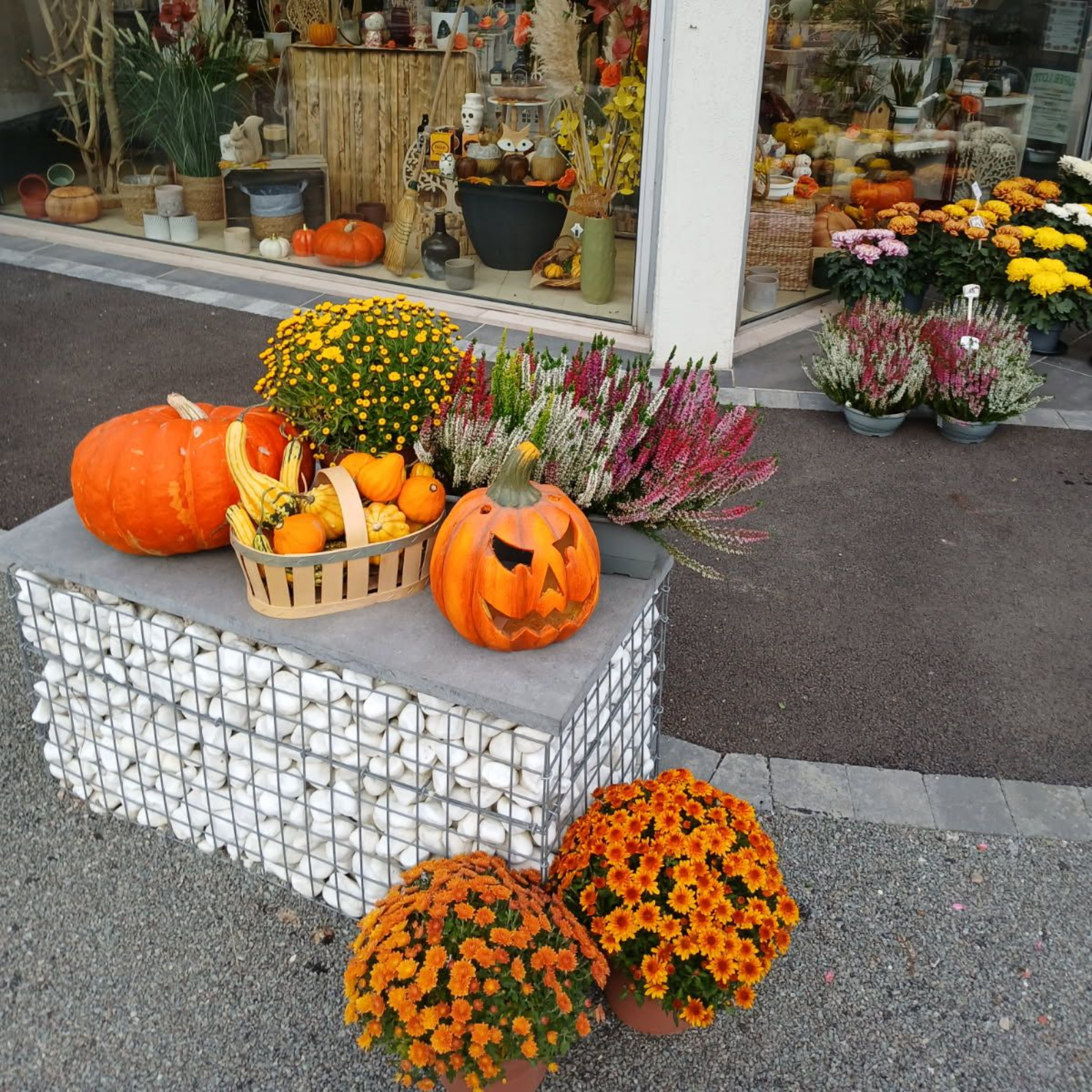 Une vitrine de fleuriste de saison présentant des citrouilles, des chrysanthèmes et autres décorations d'automne.